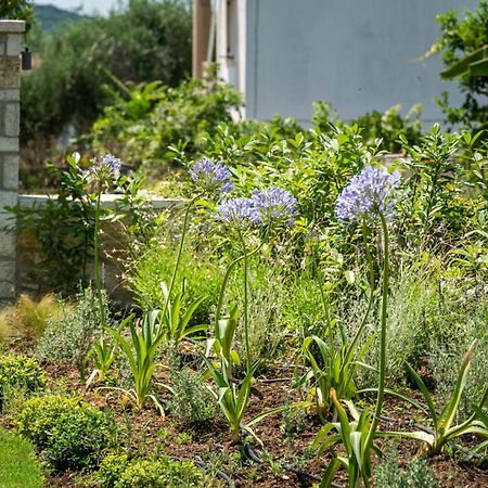 Апартаменты Syvota Gardens Экстерьер фото